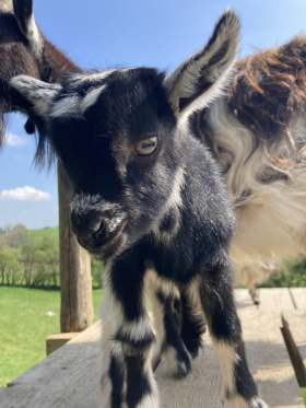 A new arrival!